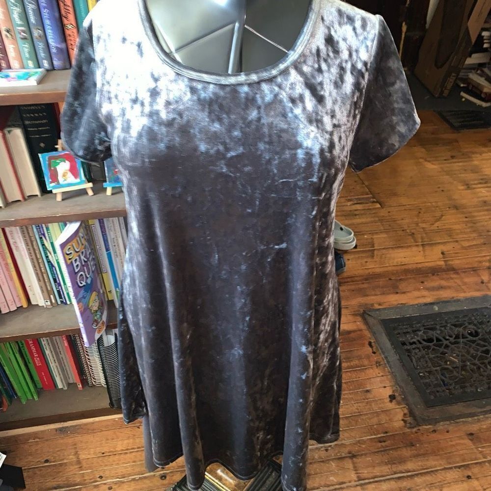 Z Supply silvery gray L flowy velvet a-line party mini dress